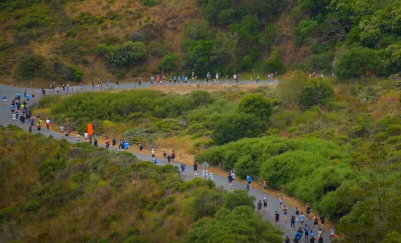 A vibrant scene of runners navigating a winding path through a lush landscape