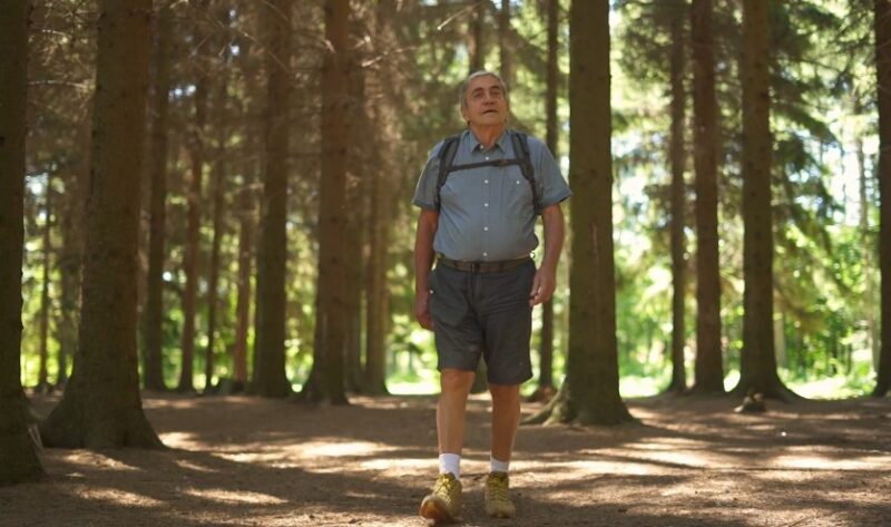 A man hikes through a sun-dappled forest