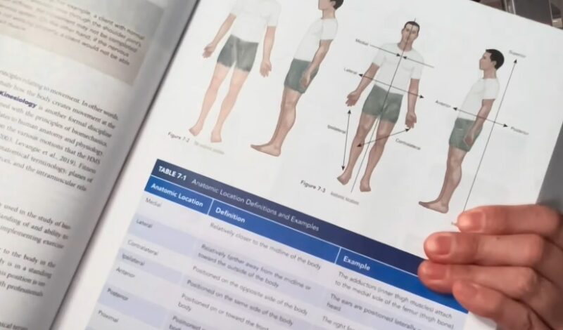 Anatomical location definitions and examples are presented in a clear table format