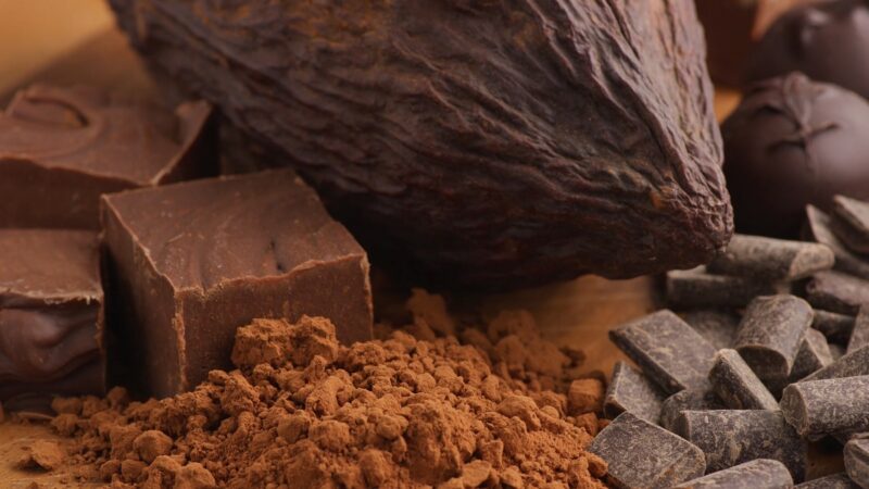 Benefits of cocoa