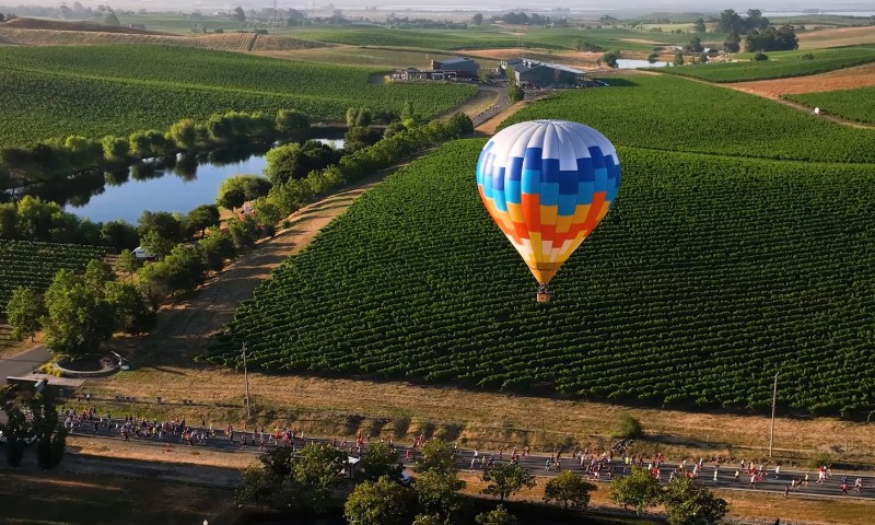 A colorful hot air balloon drifts over lush vineyards next to a calm pond